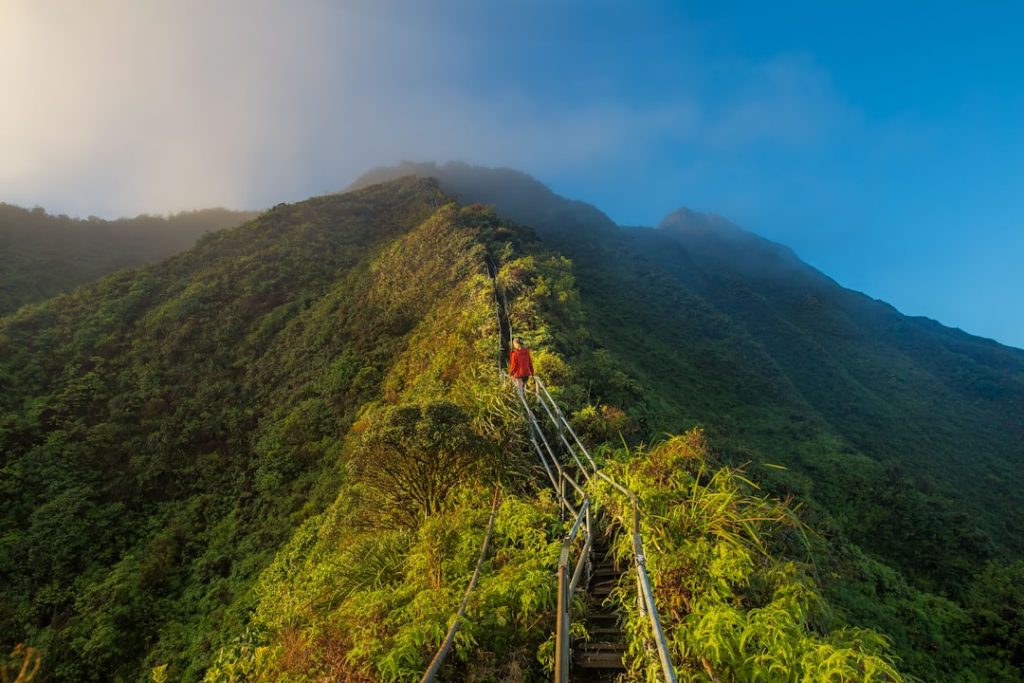 découvrez les sentiers de randonnée les plus fascinants pour tous les niveaux. évadez-vous dans la nature, explorez des paysages à couper le souffle et vivez des aventures inoubliables en pleine air.